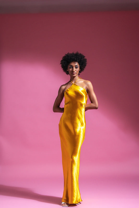 Vera Long Dress